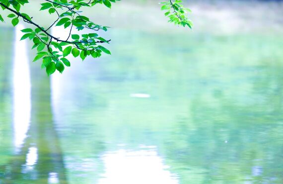 お店の美味しさを手軽に楽しんでほしいカレーができました-にく太 通販