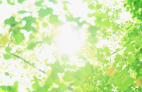 お店の美味しさを手軽に楽しんでほしいカレーができました-にく太 通販